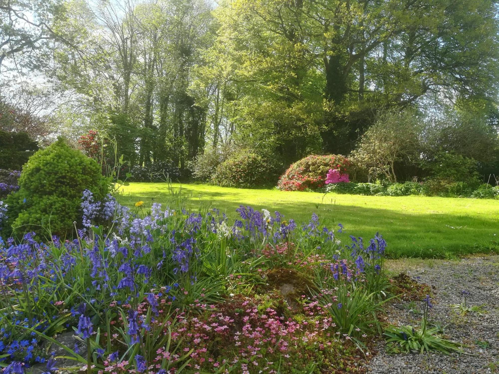 Carncairn Villa Broughshane Szoba fotó
