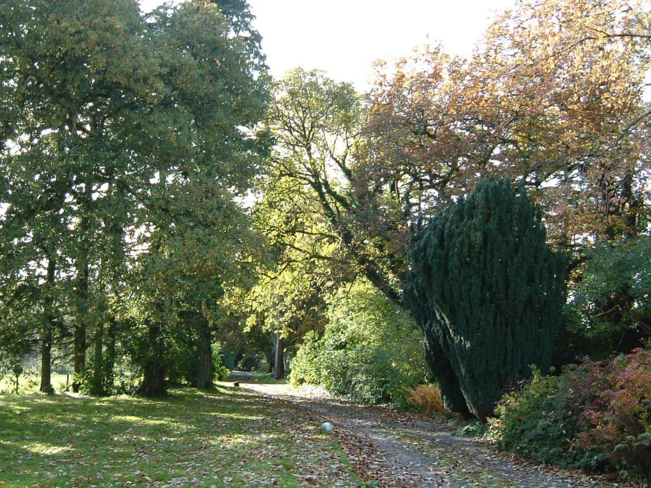 Carncairn Villa Broughshane Kültér fotó